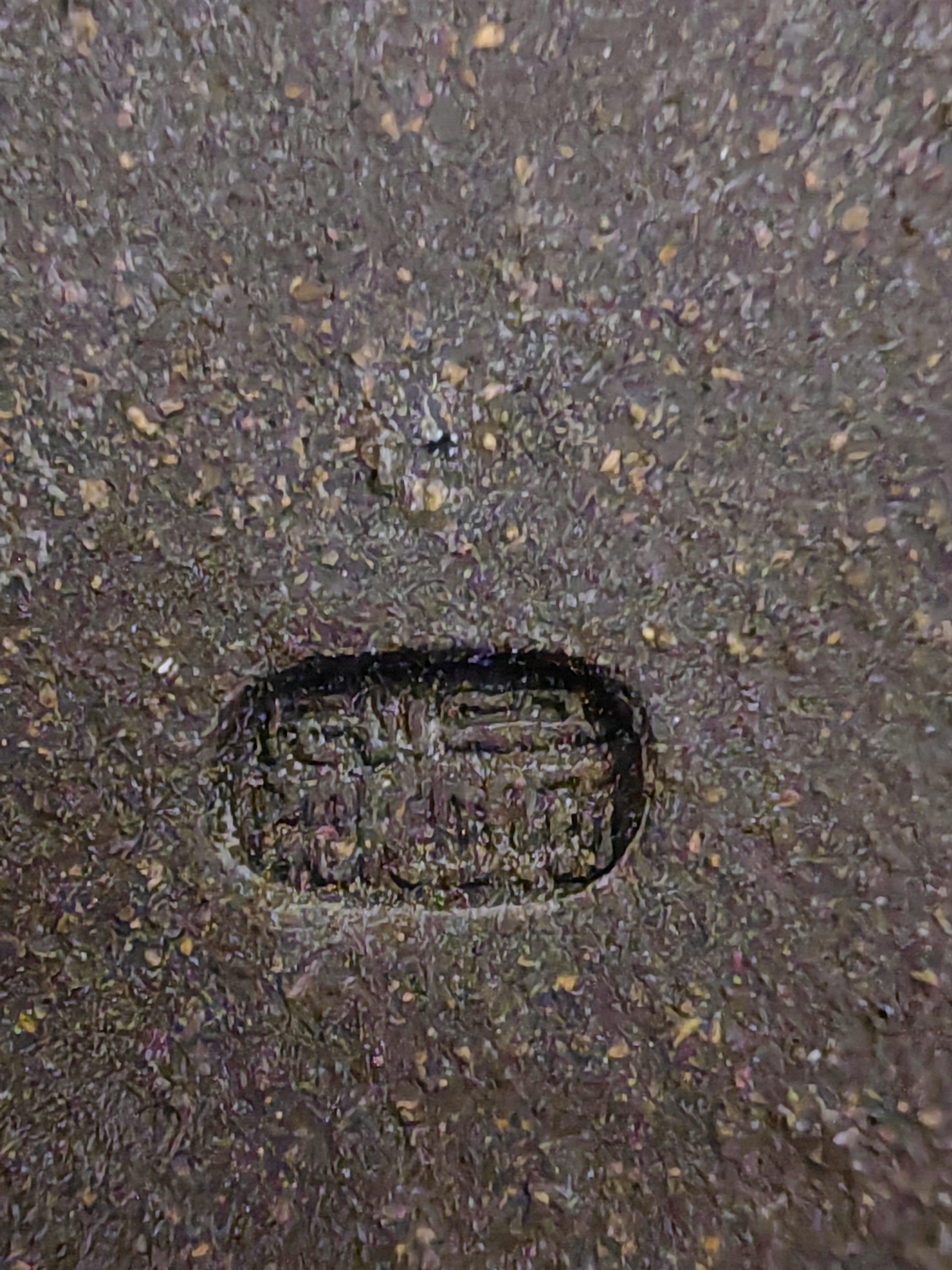 陈鸣远《紫砂壶》