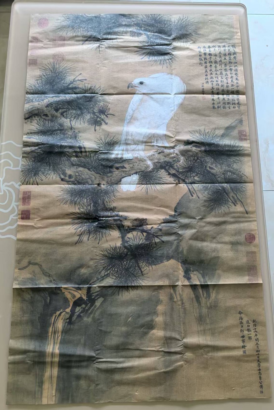 郎世宁《白鹰图》-嘉诚艺术