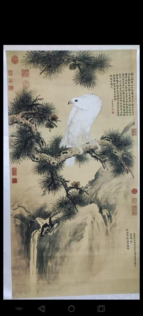 图片[1]-郎世宁《白鹰图》-嘉诚艺术