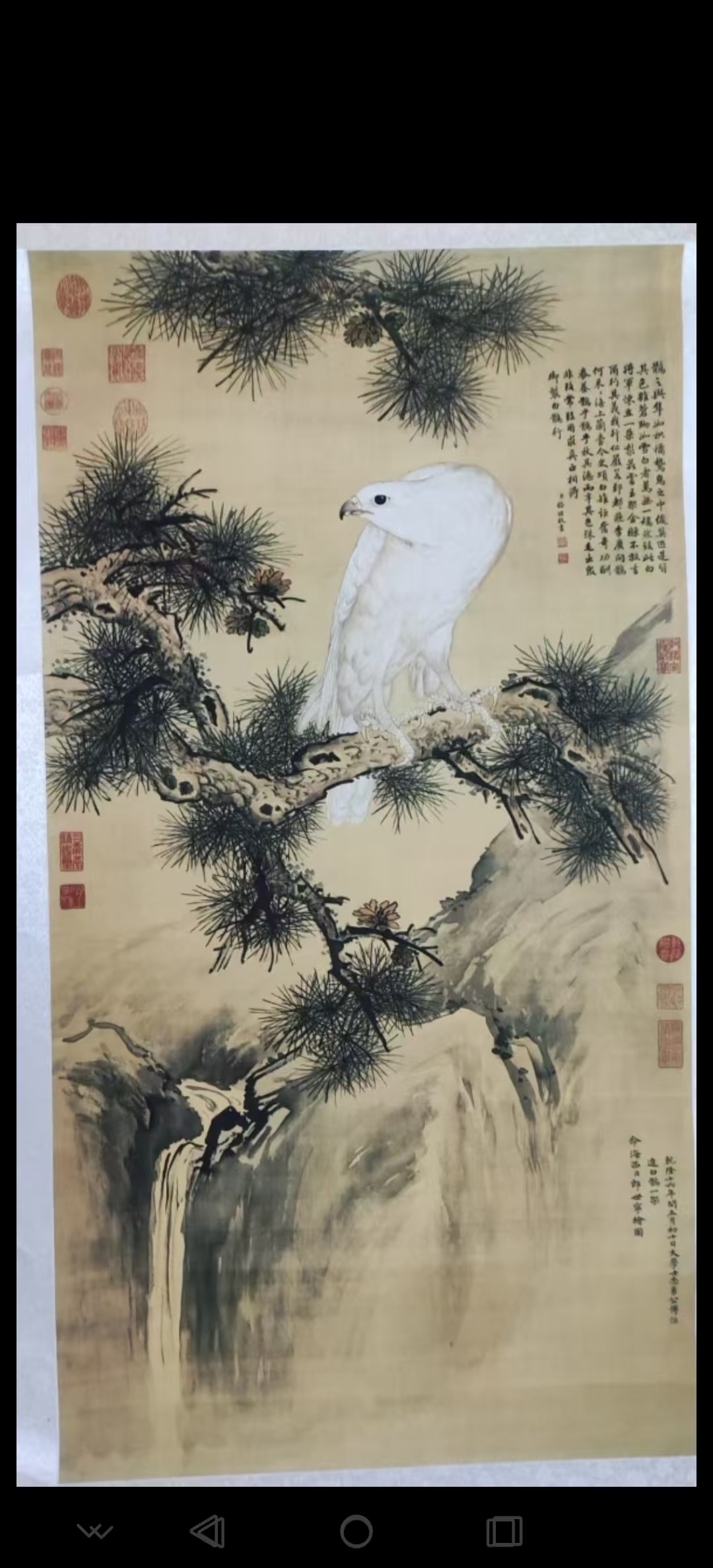 郎世宁《白鹰图》-嘉诚艺术