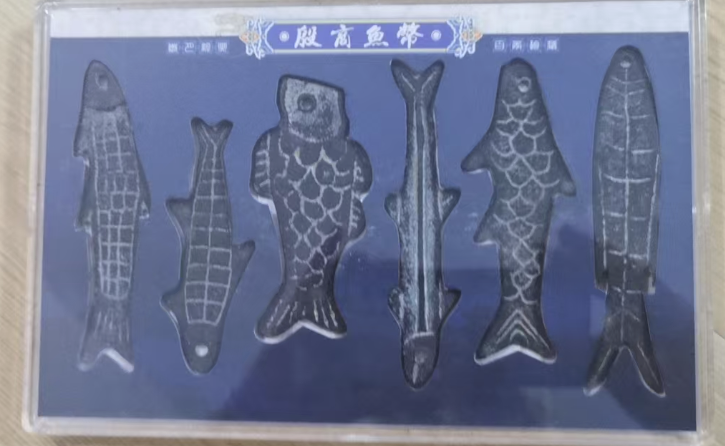 殷商鱼幣-嘉诚艺术