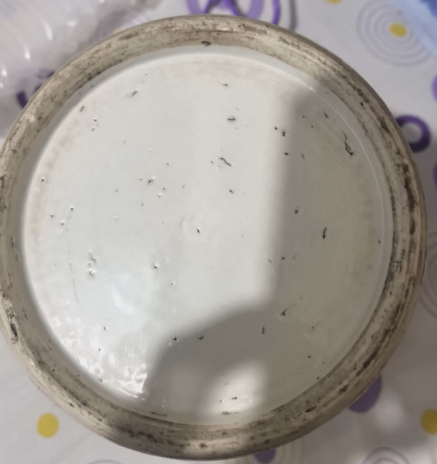 清《冰梅将军罐》